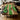 Solid wood dining table showcasing a handcrafted natural wood table tops-BespokeTableCo